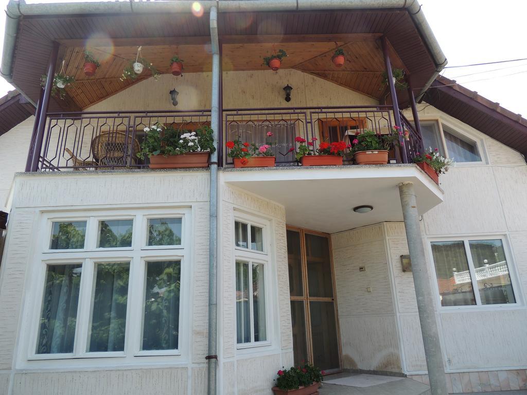Casa Debora Hotel Hateg Luaran gambar